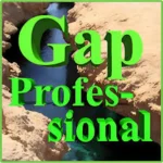 Gap Professional EA