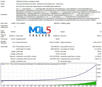 Magnat EA Strategy tester Report 2