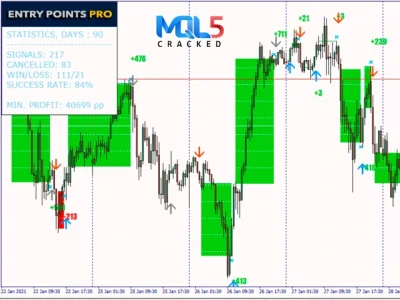 Entry Points Pro Indicator review 4