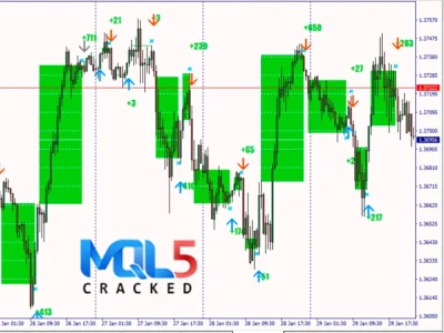 Entry Points Pro Indicator review 5