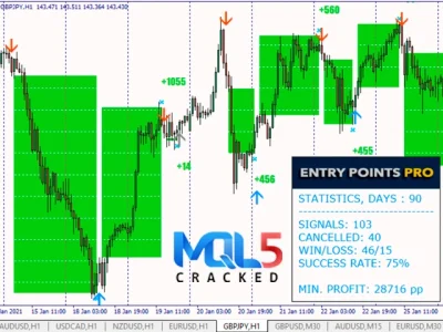 Entry Points Pro Indicator review 6