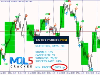 Entry Points Pro Indicator review 7