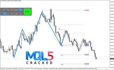 Quasimodo Pattern QM 3