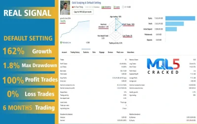 Gold Scalping AI EA review 6