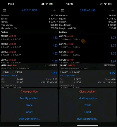Dominant EA live report 1