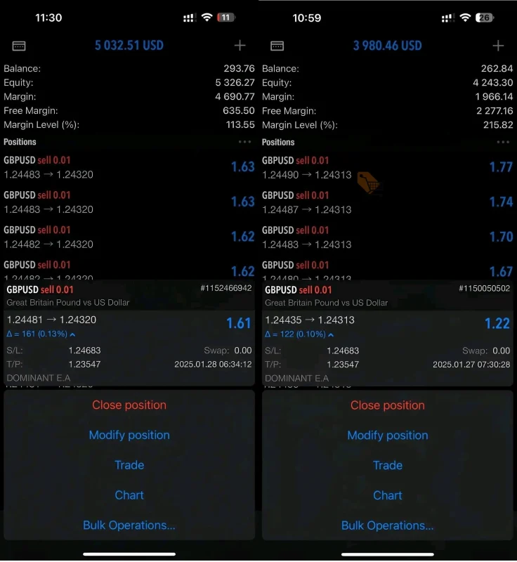 Dominant EA live report 1