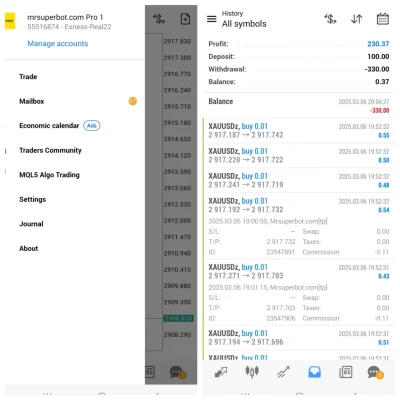 Mrsuperbot Final Edition live trading 4