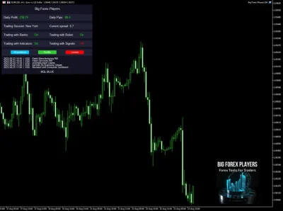 BIG FOREX PLAYERS EA backtest report 1