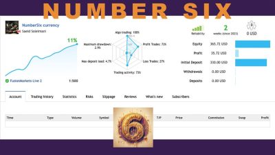 NumberSix EA review report 3