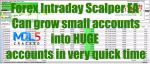 FX Intraday Scalper Robot EA 3