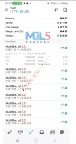 TINGA TINGA NEW EA live trading 2
