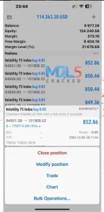 TINGA TINGA NEW EA live trading 6