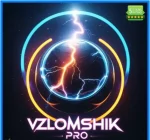 Forex Vzlomshik Pro EA logo