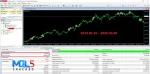 Gold SWmax EA review 2