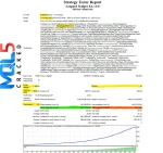 Expert Leopard Scalper EA MT4 V1.4 - Backtest 1