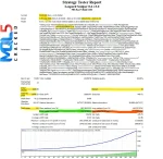 Expert Leopard Scalper EA MT4 V1.4 - Backtest 2