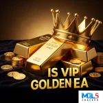 IS VIP Golden ea