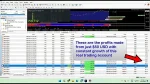 BARYONYX Robot Trading MT4 + SetFile