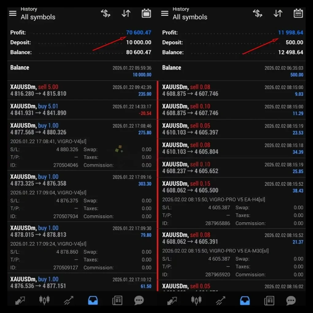 VIGRO PRO EA MT4 review 1