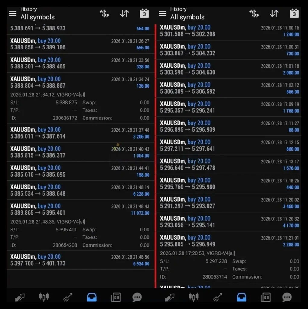 VIGRO PRO EA MT4 review 2