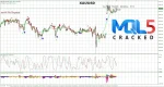 Alpha Scalper Pro EA review 1