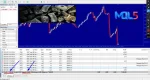Stargogs Pay EA review 2