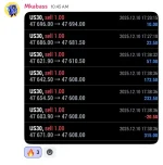 DowGold EA MT5 user reviews 1